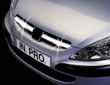 Lamas Parilla inferior acero inoxidable Peugeot 307 In-Pro