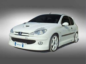 Entrada de aire Maranello Peugeot 206 Kit Cadamuro